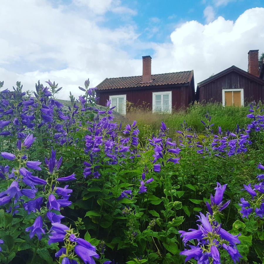 Villa Loevanger Kyrkstad à Lovanger Extérieur photo